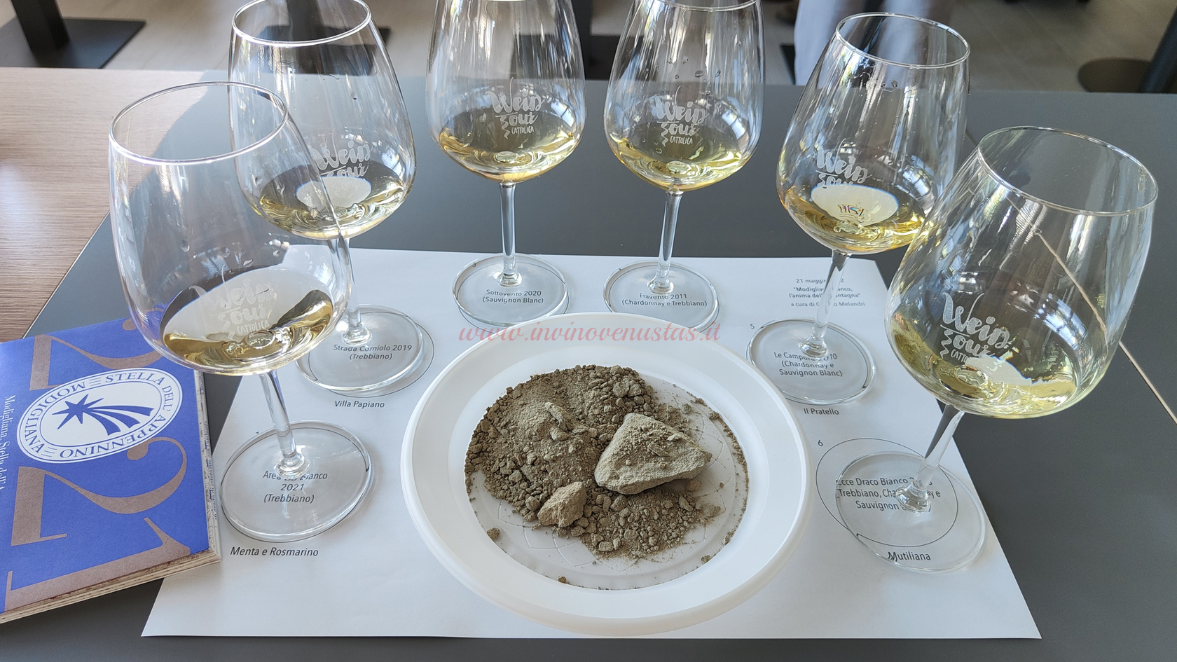 Vini e terroir seminario Wein Tour 2022 Modigliana Bianco