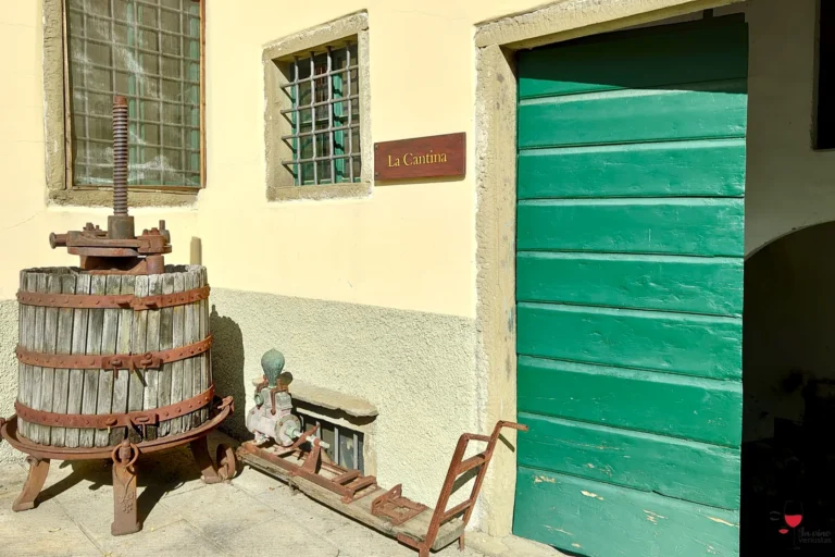 Esperienza in cantina